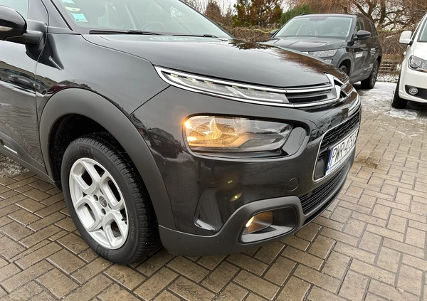 Citroen C4 Cactus cena 45900 przebieg: 169000, rok produkcji 2018 z Krzywiń małe 562